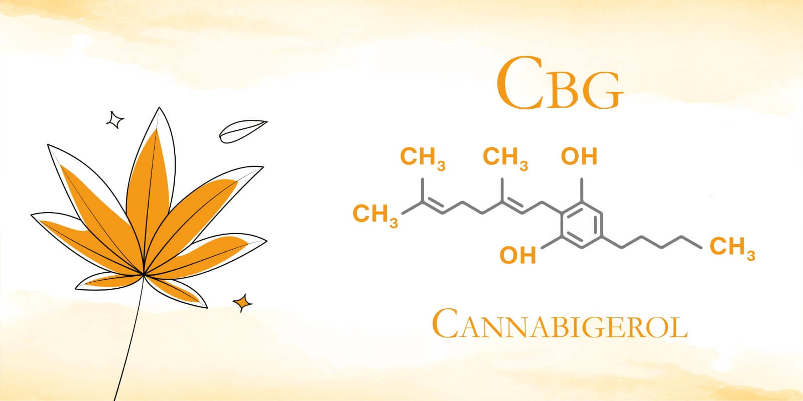 Qu’est ce que le CBG ?