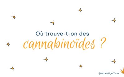 Où trouve-t-on des cannabinoïdes ?