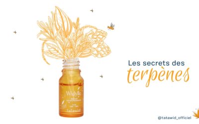 Les secrets des terpènes